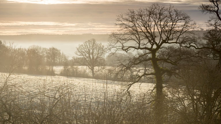 Winter landscape at Standen